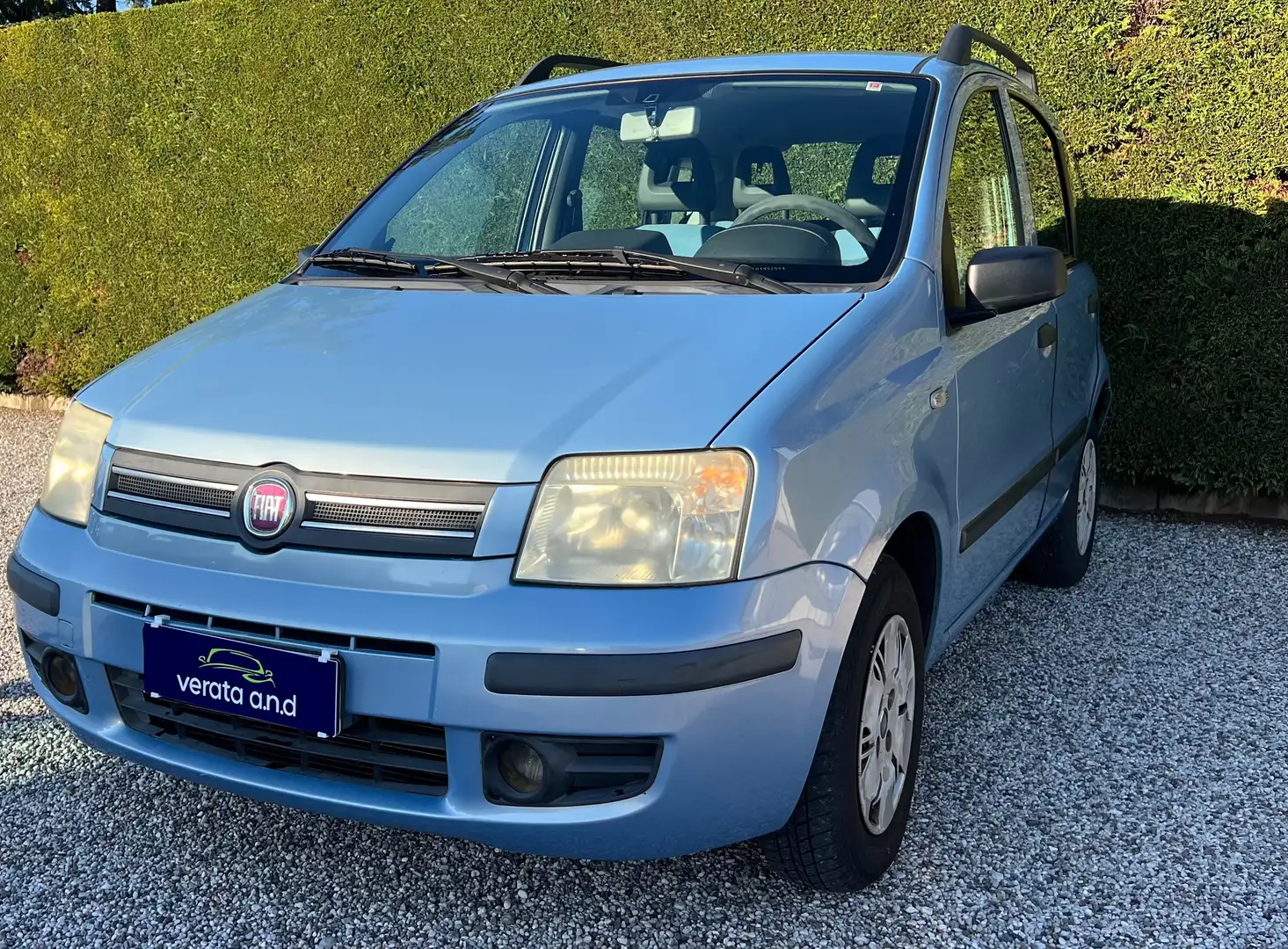 Fiat Panda Panda 1.2 Dynamic - CINGHIA NUOVA Blauw - 1