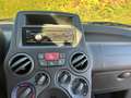 Fiat Panda Panda 1.2 Dynamic - CINGHIA NUOVA Blauw - thumbnail 22