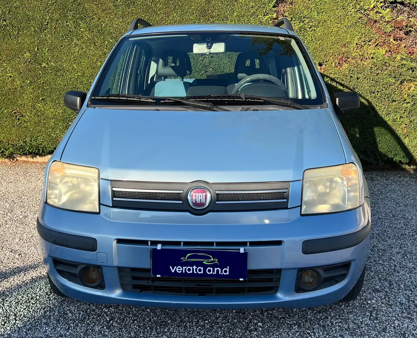 Fiat Panda Panda 1.2 Dynamic - CINGHIA NUOVA Bleu - 2