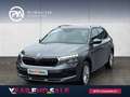 Skoda Kamiq Selection TSI DSG Grau - thumbnail 1