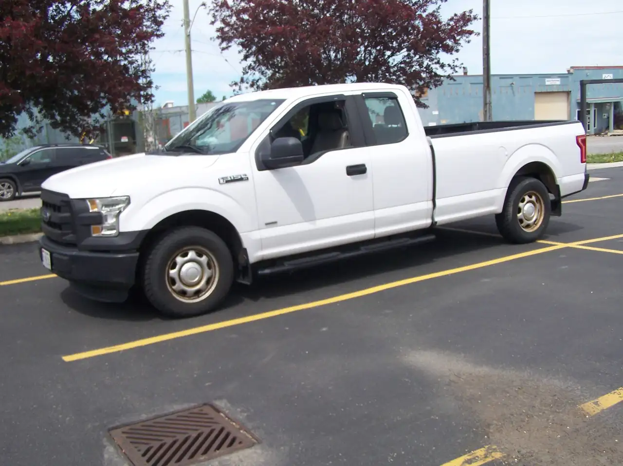 Ford F 150 снимка Ford F 150