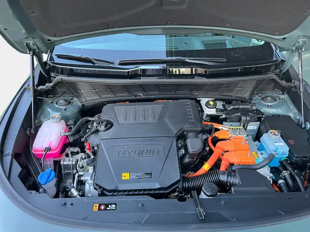 Kia Niro view 13