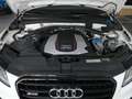 Audi SQ5 3.0 TDI competition EXCl_ BLACK/ACC/1.HD ! Bílá - thumbnail 9