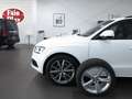 Audi SQ5 3.0 TDI competition EXCl_ BLACK/ACC/1.HD ! Blanc - thumbnail 18