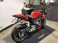 Triumph Street Triple 765 - thumbnail 2