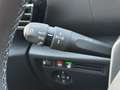 Citroen Gris - thumbnail 29