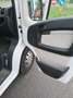 Fiat Ducato FIAT DUCATO EURO6 MAXI TETTO RIALZATO PASSO LUNGO Weiß - thumbnail 11