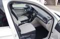 Volkswagen Tiguan 1.5 TSI Comfortline R-Line, Panoramadach Blanc - thumbnail 8