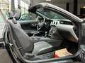Ford Mustang 2.3i CABRIOLET AUTOMATIQUE NAVI CUIR CAM FULL OP. Zwart - thumbnail 8