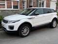 Land Rover Range Rover Evoque Range Rover Evoque eD4 Pure Wit - thumbnail 7