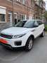 Land Rover Range Rover Evoque Range Rover Evoque eD4 Pure Wit - thumbnail 1