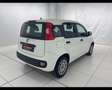 Fiat Panda 1.2 EasyPower Easy Bianco - thumbnail 11