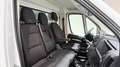 Citroen Jumper 35 L4 BHDi 140cv Cassonato PREZZO REALE NO VINCOLI Blanco - thumbnail 13