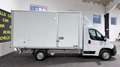 Citroen Jumper 35 L4 BHDi 140cv Cassonato PREZZO REALE NO VINCOLI Blanco - thumbnail 4