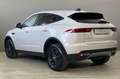 Jaguar E-Pace 2.0D I4 163 CV MHEV AWD Auto Bianco - thumbnail 8