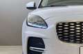 Jaguar E-Pace 2.0D I4 163 CV MHEV AWD Auto Bianco - thumbnail 10