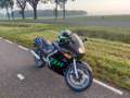 Kawasaki ZZR 250 A2 beginners motor Nero - thumbnail 9