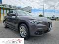 Alfa Romeo Stelvio 2.2 Turbodiesel 210 CV AT8 Q4 Super/Motore nuovo Gris - thumbnail 8