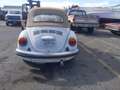 Volkswagen Kever champagne edition Wit - thumbnail 18