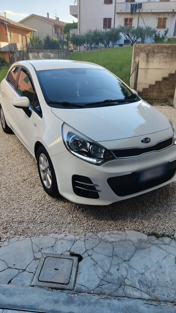 Kia Rio Rio 5p 1.2 Active eco-dynamics gpl Bianco - 2