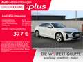 Audi A5 TDI S tronic ACC*RFK*PARKASSISTENT Weiß - thumbnail 1