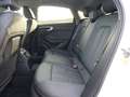 Audi A5 TDI S tronic ACC*RFK*PARKASSISTENT Weiß - thumbnail 17