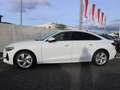 Audi A5 TDI S tronic ACC*RFK*PARKASSISTENT Weiß - thumbnail 8