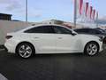 Audi A5 TDI S tronic ACC*RFK*PARKASSISTENT Weiß - thumbnail 3