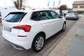 Skoda Kamiq 1.0 TSI 110 CV Ambition Bianco - thumbnail 5