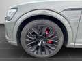 Audi Q8 e-tron 55 S-line Quattro  RFK HUD SHZ NAVI B& Marrón - thumbnail 9