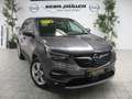 Opel Grandland Innovation Grau - thumbnail 1