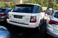 Land Rover Range Rover Sport V6 TD HSE/Automatik/Allrad Weiß - thumbnail 4