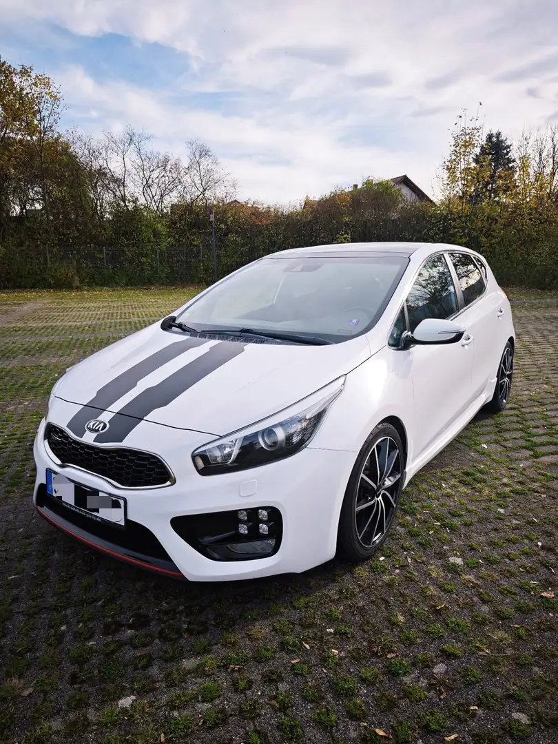 Kia Ceed / cee'd 1.6 T-GDI | GT-Track | Panoramadach | Keyless | Blanco - 1