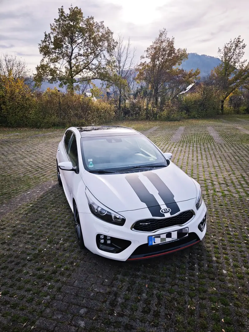 Kia Ceed / cee'd 1.6 T-GDI | GT-Track | Panoramadach | Keyless | Blanco - 2