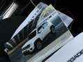 Jeep Renegade Renegade 2.0 mjt Limited 4wd 140cv AUTOMATICO 9m Bianco - thumbnail 15