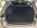 Skoda Octavia Octavia Kombi 1,5 TSI Selection Silber - thumbnail 6