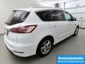 Ford S-Max 2.0 EcoBlue Aut. Titanium StandHZ+AHK+ACC Weiß - thumbnail 3