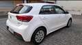 Kia Rio Rio IV 2017 1.2 mpi eco Gpl 82cv Alb - thumbnail 3