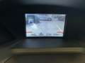 Ford C-Max 1.0 Edition Plus Marrone - thumbnail 12