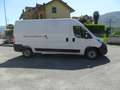 Fiat Ducato NEW Fiat Ducato 2.2 MJT 140 CV L3H2 Porta Laterale Blanco - thumbnail 5