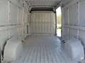 Fiat Ducato NEW Fiat Ducato 2.2 MJT 140 CV L3H2 Porta Laterale Blanco - thumbnail 13