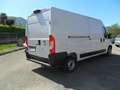 Fiat Ducato NEW Fiat Ducato 2.2 MJT 140 CV L3H2 Porta Laterale Blanco - thumbnail 6