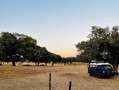 Volkswagen T3 Transporter - thumbnail 5