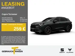 Cupra Terramar 2.0 TSI LM19 MATRIX 360° PARKLENK HEAD