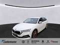 Skoda Octavia Combi 2.0 TDI DSG STYLE AHK+HEAD-UP+NAVI Weiß - thumbnail 1