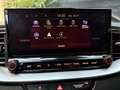 Kia XCeed 1.5 T-GDi DynamicLine MILD-HYBRID Style Groen - thumbnail 19