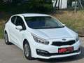 Kia ProCeed / pro_cee'd pro cee'd 1,4 CRDi Titan Last Edition*12 monate... Weiß - thumbnail 4