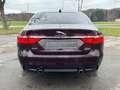 Jaguar XF R-Sport AWD m. NAVI*RCAM*XENON Rot - thumbnail 6