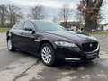 Jaguar XF R-Sport AWD m. NAVI*RCAM*XENON Rot - thumbnail 3