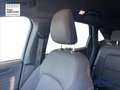 Ford Kuga 2.5 Plug In Hybrid 225 CV CVT 2WD ST-Line Rosso - thumbnail 20